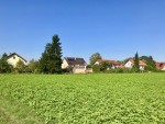 Feld auf Rückseite des Gebäudes